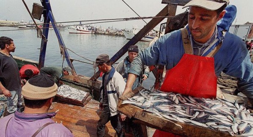 Sécurité et prévention des maladies professionnelles : Une priorité pour le secteur de la pêche 