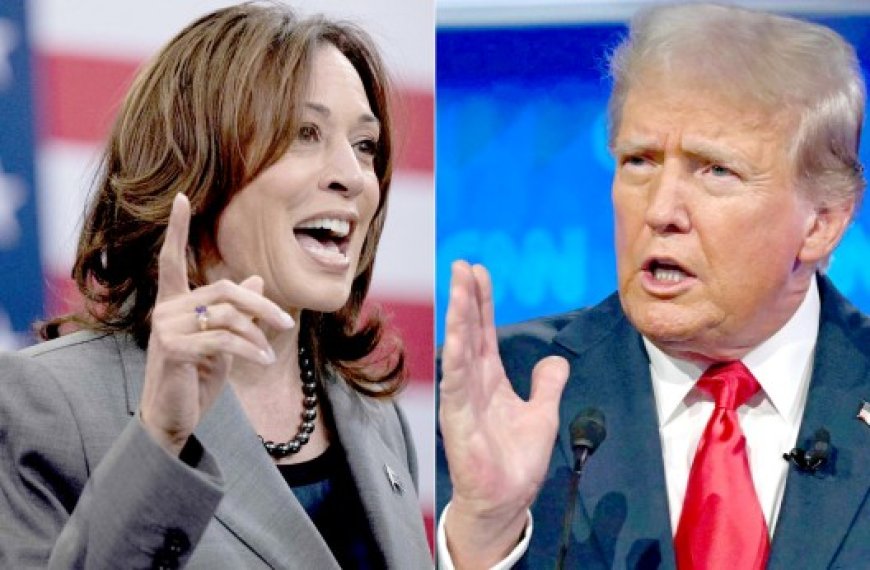 A j-7 de la présidentielle américaine : Kamala Harris et Donald Trump  au coude-à-coude