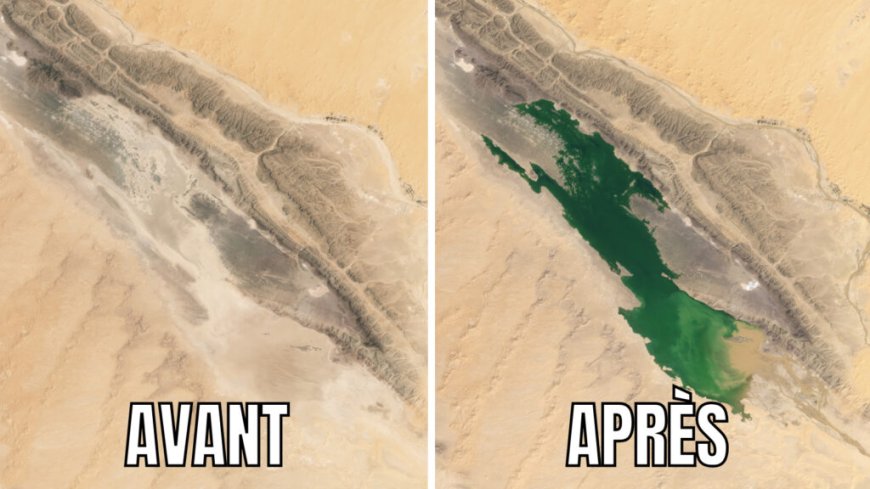 Images intrigantes : la NASA capture l’apparition d’un lac vert géant dans le Sahara algérien