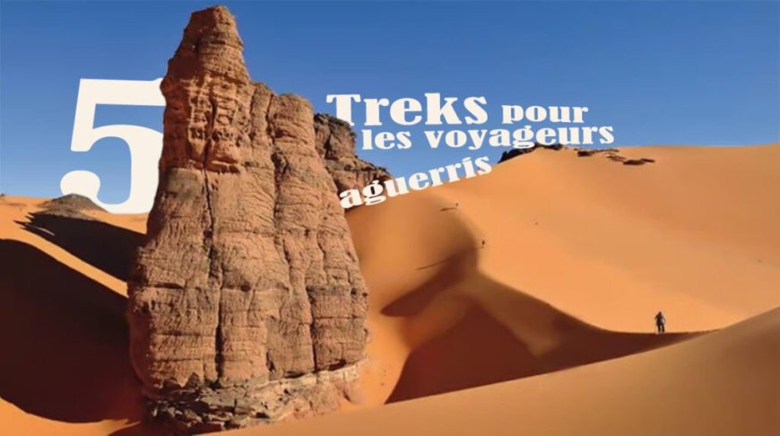 5 treks pour les voyageurs aguerris : le Tassili N’Ajjer parmi les plus époustouflants en 2024