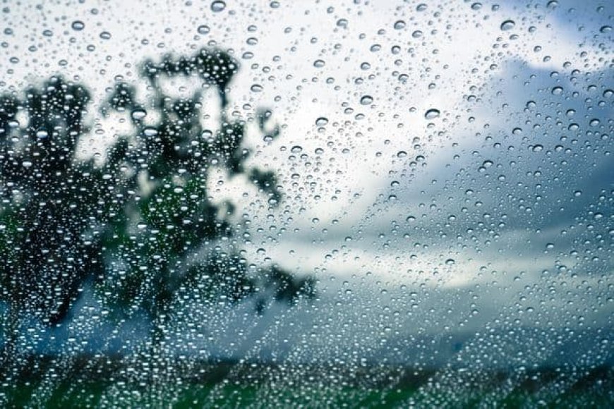 Météo : Pluies orageuses sur plusieurs wilayas du pays