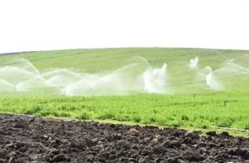 L’ONTA : Lancement d'un nouveau portefeuille agricole à Naâma