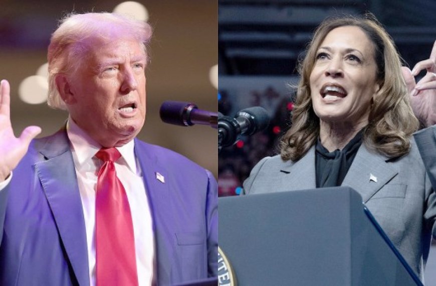 Donald Trump ou Kamala Harris : Qui sera le prochain président  des Etats-Unis ?