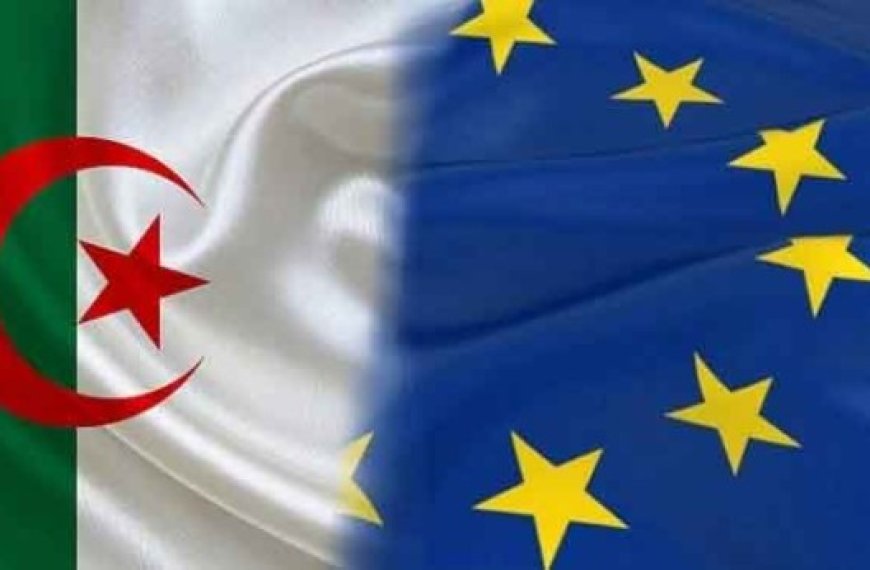 Algérie-Union européenne : Discussions sur la révision de l’accord d’association à la mi-novembre à Alger