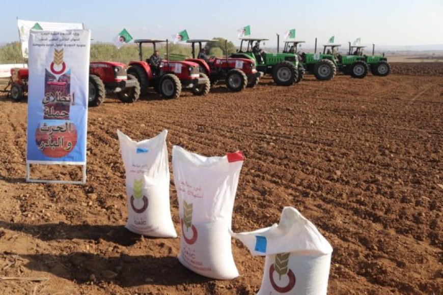 Campagne labours-semailles  : 130 000 ha destinés aux céréales à Médéa