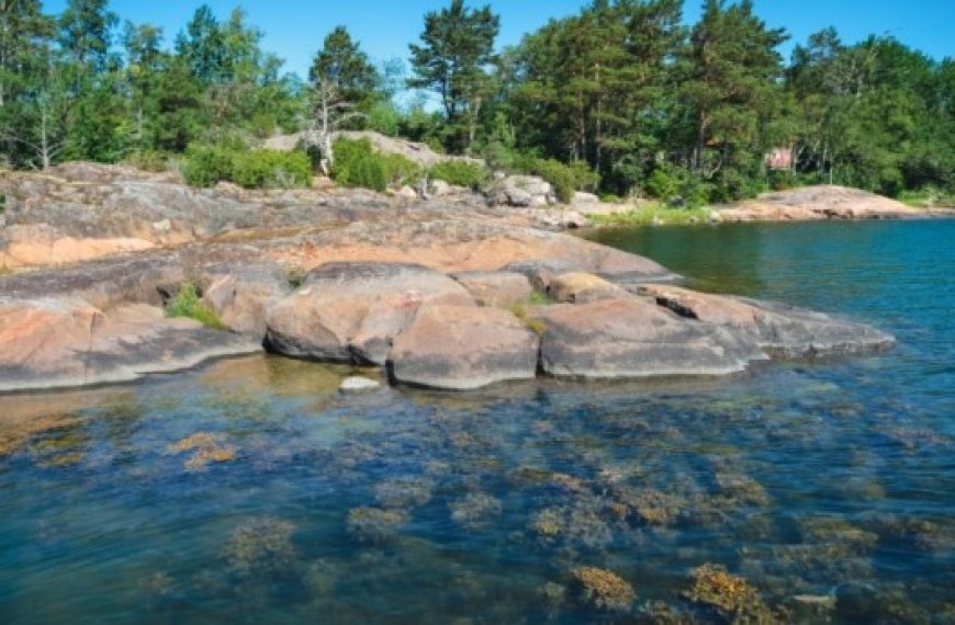 Réoxygéner la mer Baltique… : Le pari pionnier de start-up  et de scientifiques