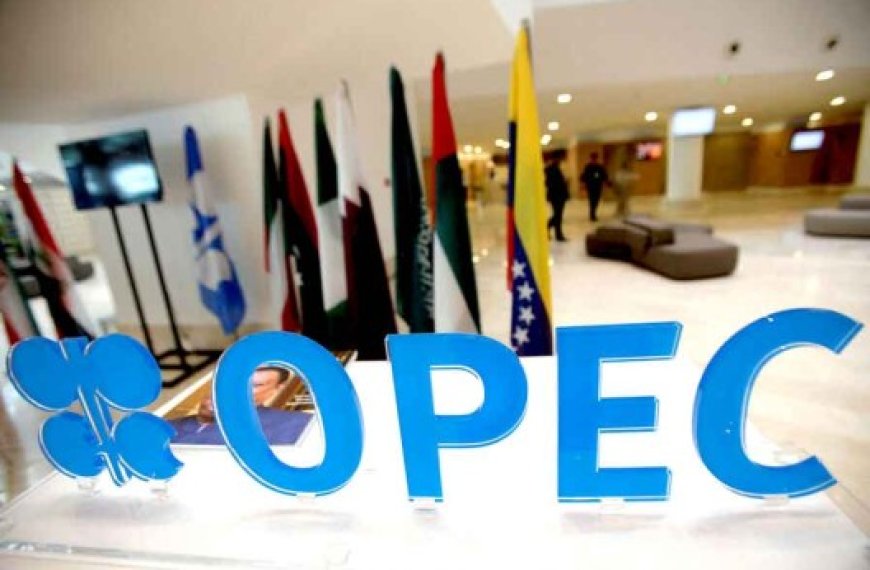 Le marché réagit à la prolongation des réductions volontaires de l’Opep+ : Les prix du pétrole en nette hausse