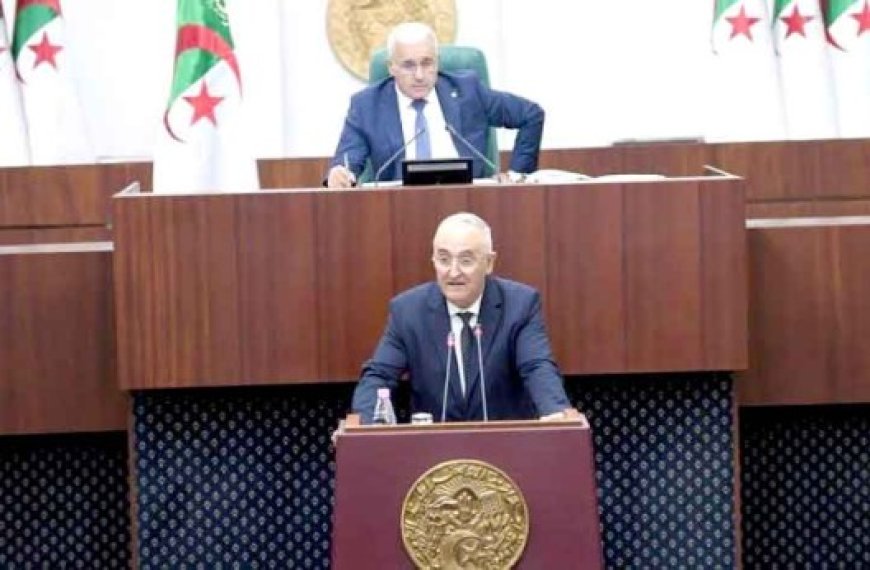 Le ministre des Finances, LaAziz Faid présente le PLF-2025 : «Le projet de loi clôture une phase caractérisée par des  défis budgétaires majeurs»