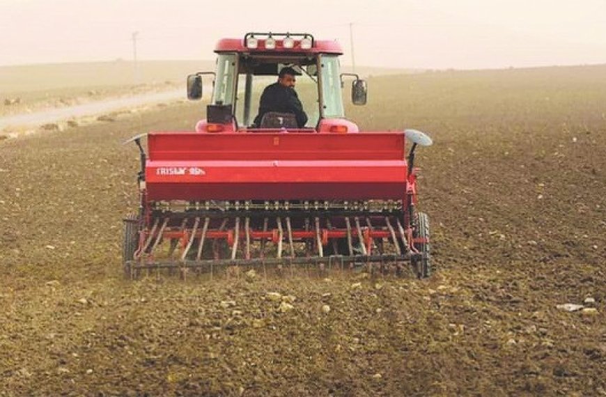 Tiaret : Des fermes pilotes pour promouvoir les cultures stratégiques