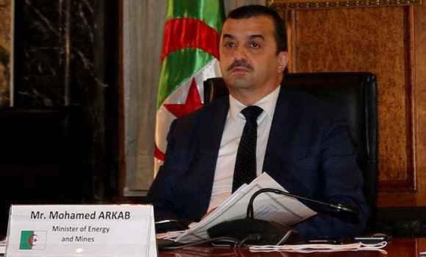 Arkab participe en Italie à la réunion ministérielle du Groupe mondial pour l’énergie de fusion