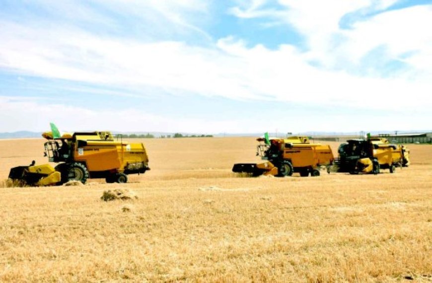 Développement des cultures stratégiques : Priorité au financement des projets agricoles dans le Sud