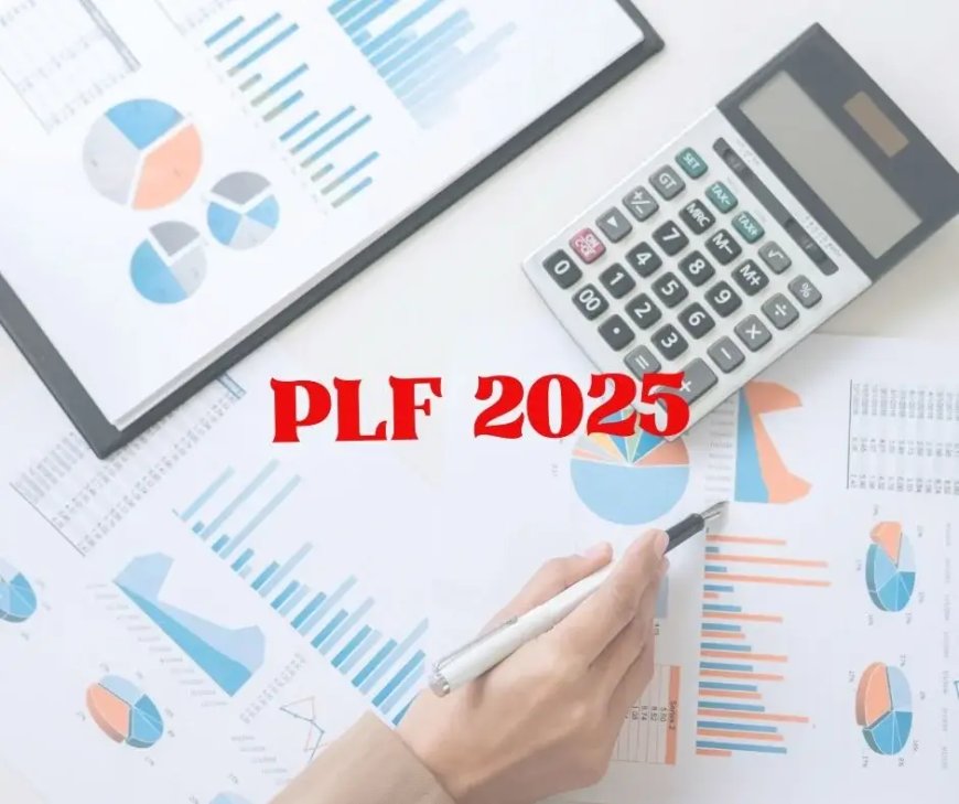 Réévaluation des projets : Ce que prévoit le PLF 2025