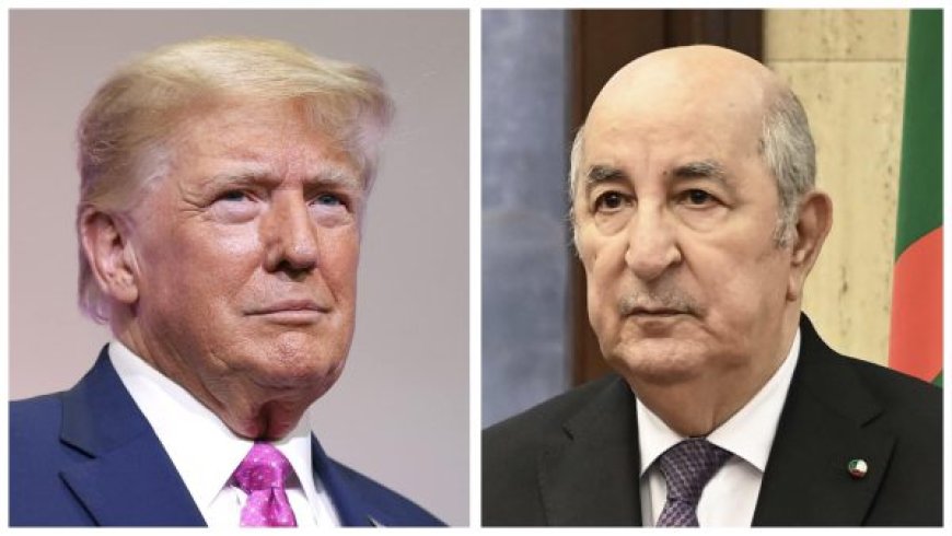 Algérie – Etats-Unis : Tebboune félicite Trump pour son élection