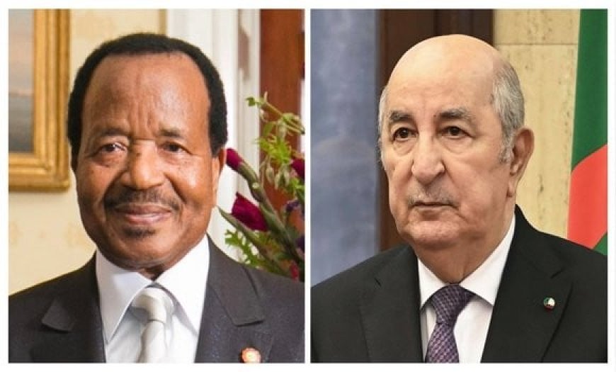 Anniversaire de la Révolution : le président Tebboune reçoit les vœux de son homologue camerounais