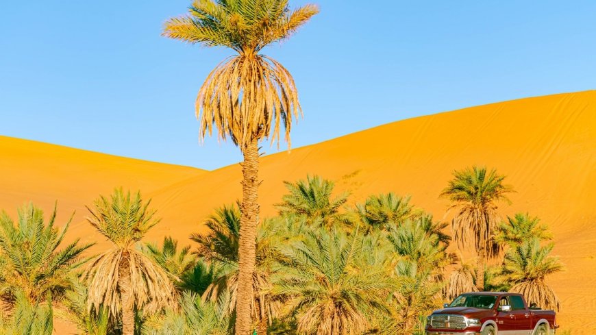 Voyage en Algérie : les bagages indispensables pour un séjour dans le Sahara algérien