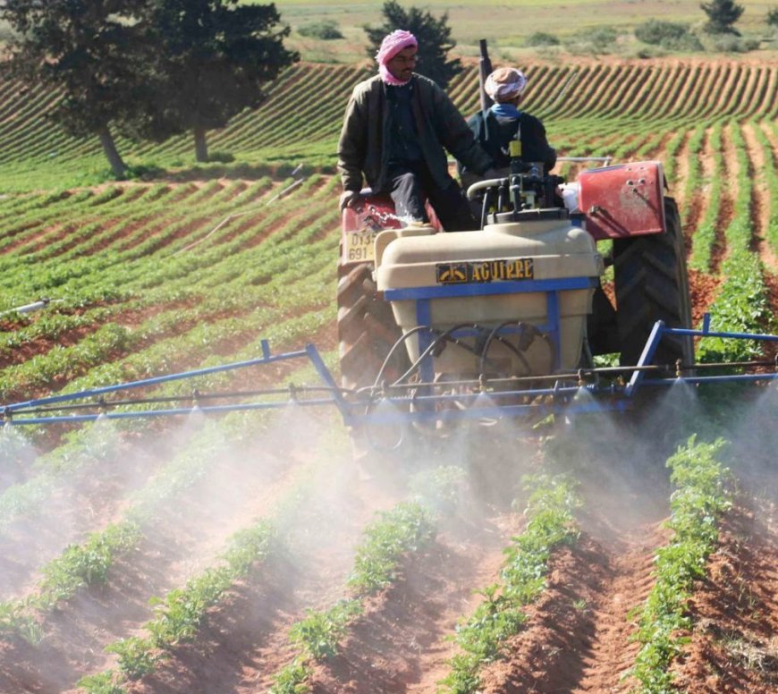 Agriculture : l’EDCAS et l’ONA signent deux conventions avec l’ONID pour prioriser l’irrigation des cultures stratégiques.