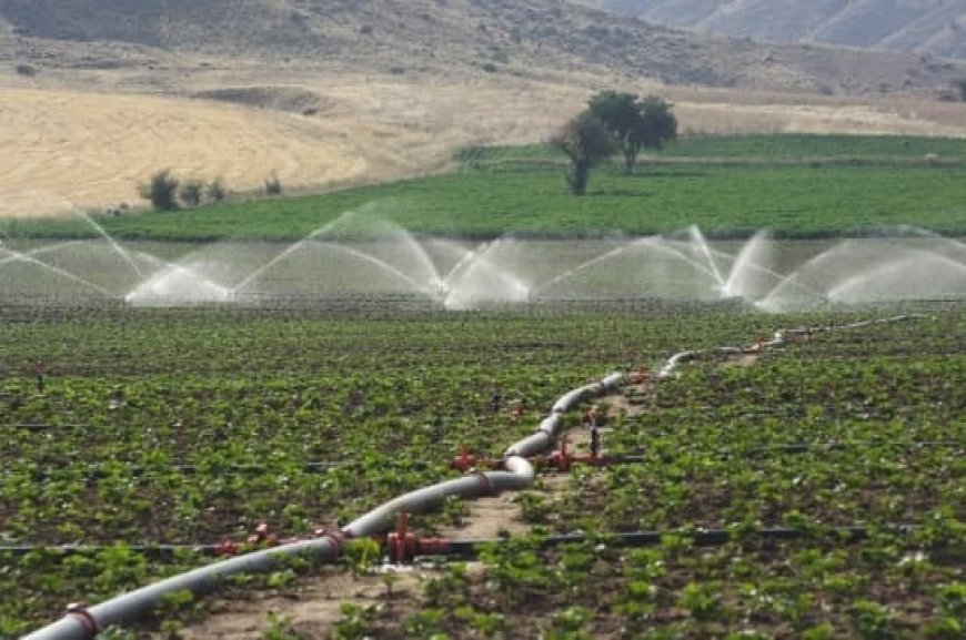 Irrigation/ Cultures stratégiques: Signature de deux conventions pour l’alimentation en eau des unités agricoles