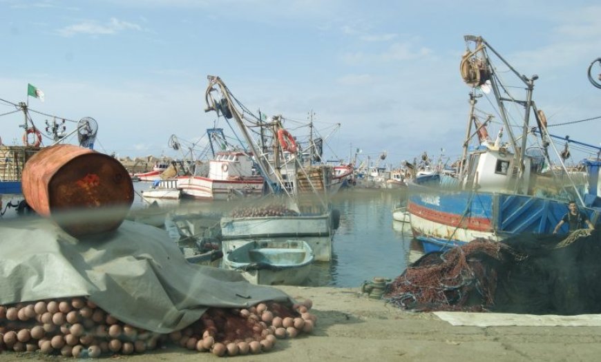 Pêche: Adoption de contrats de performance pour la gestion des directions de wilaya