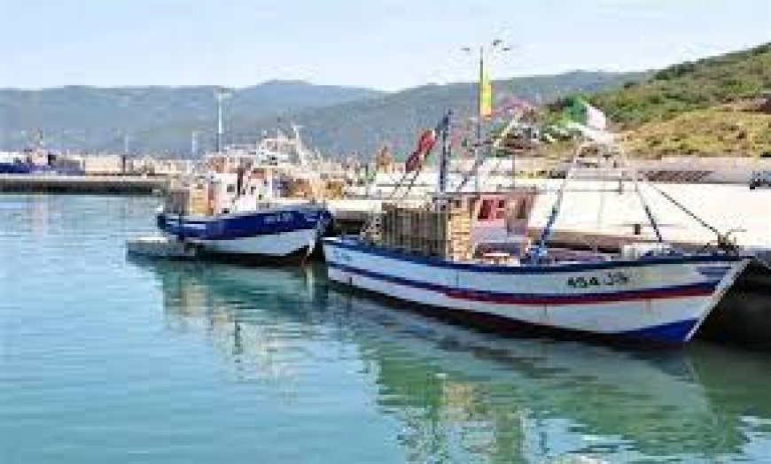 Skikda : Port de pêche de Ben Zouit à Kerkera : Le projet d’extension prend forme