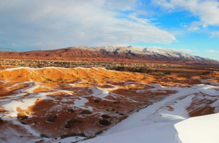 Le jour où l'Algérie est entrée dans l'histoire avec un record de froid !