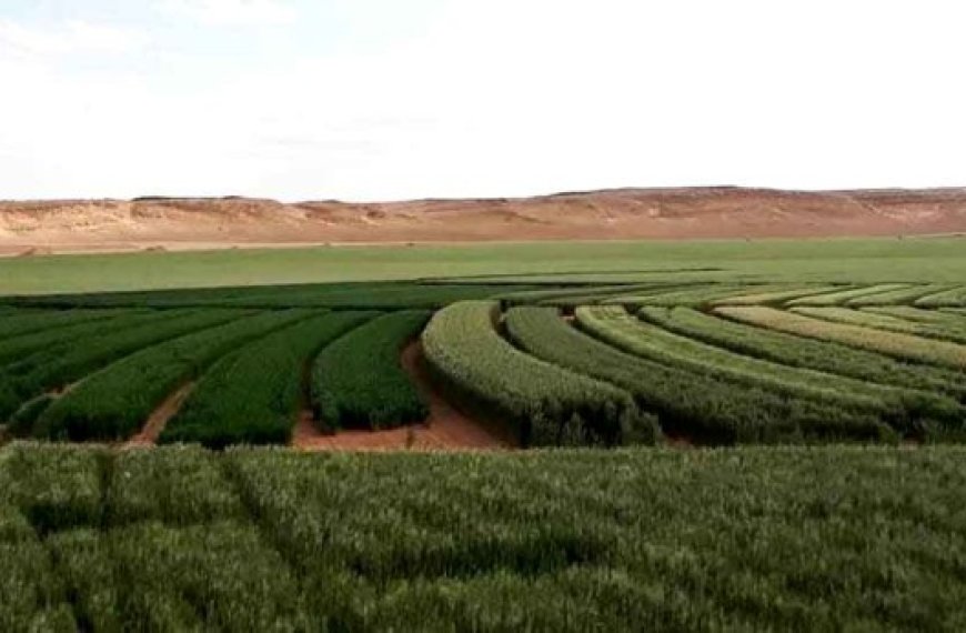 La nappe albienne s'étend sur trois pays : Un impressionnant gisement d'eau à préserver