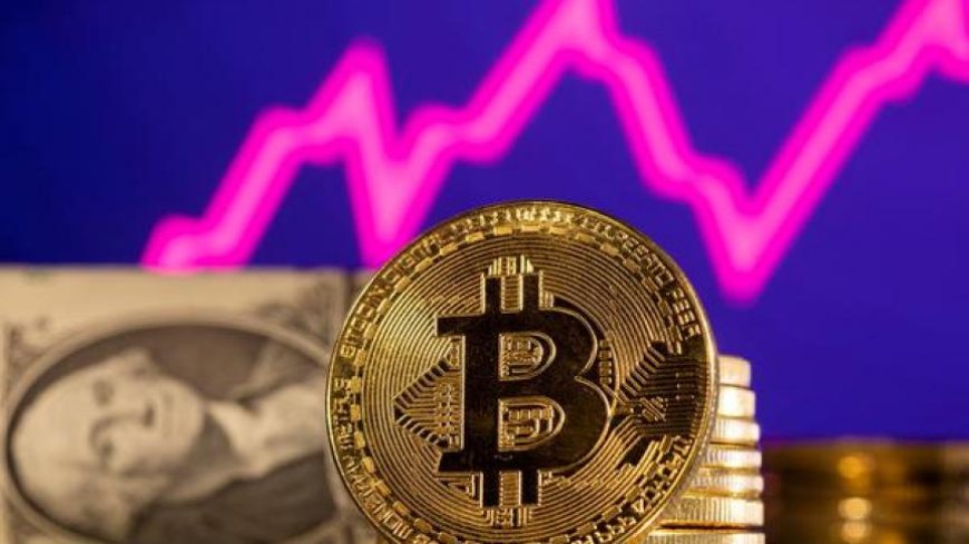 Le bitcoin touche les 80.000 dollars, un nouveau record