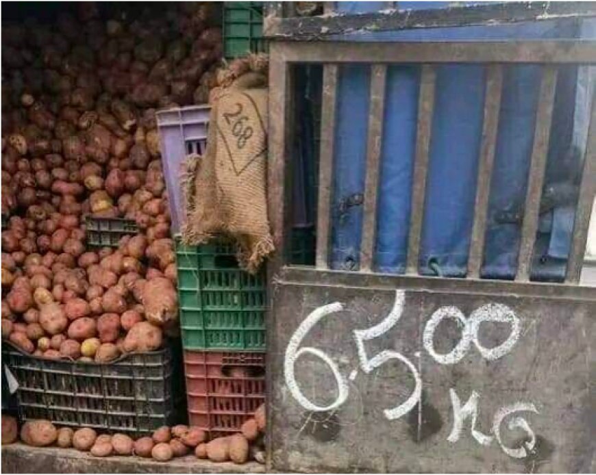 Après avoir pris des ailes (Annaba) : La patate à 65 dinars est là !