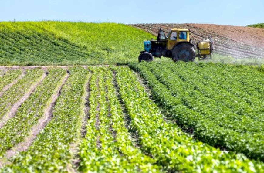 Foncier agricole : Plus de 63 000 hectares à concéder sur le territoire national