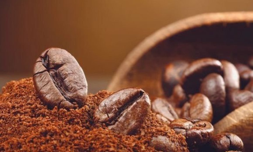 Matières premières : l’Afrique 3e exportateur mondial de café