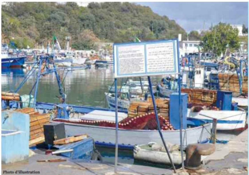 Cent navires et de nouveaux emplois en vue : Enfin un port d’amarrage pour Sidi Salem (Annaba) !