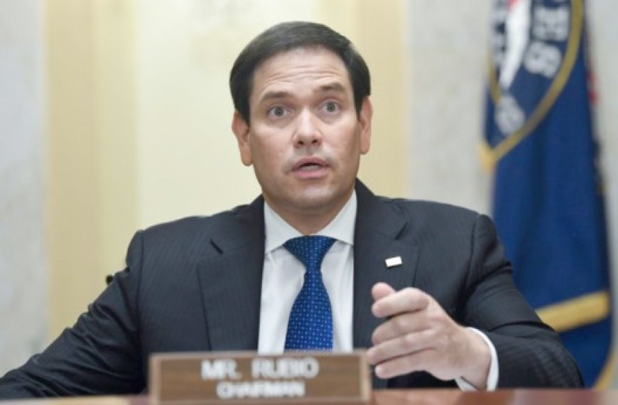 Marco Rubio : Un faucon au département d'Etat