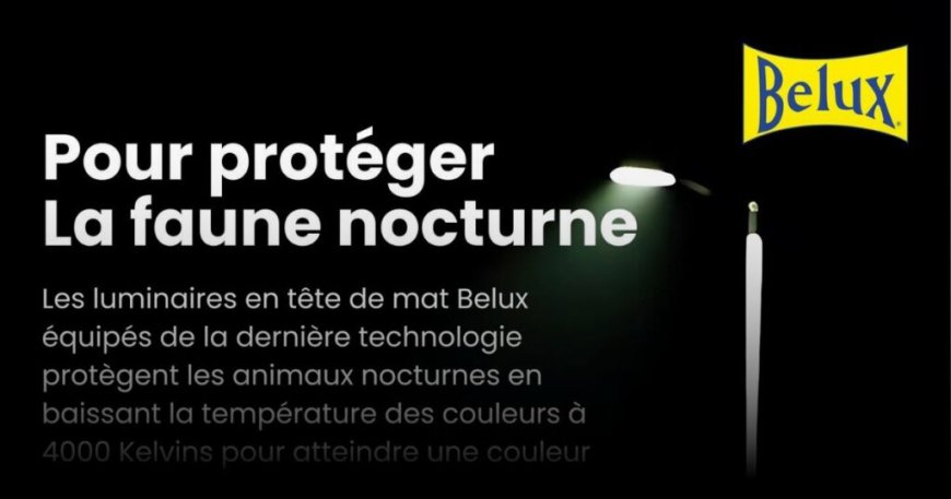 Belux Éclairage / Tizi-Ouzou 2024 : de l’urgence de protéger la faune nocturne