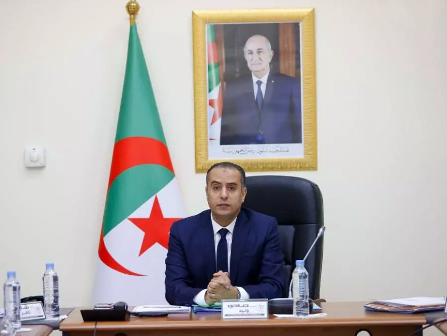 Walid Sadi officiellement candidat au Comité exécutif de la CAF