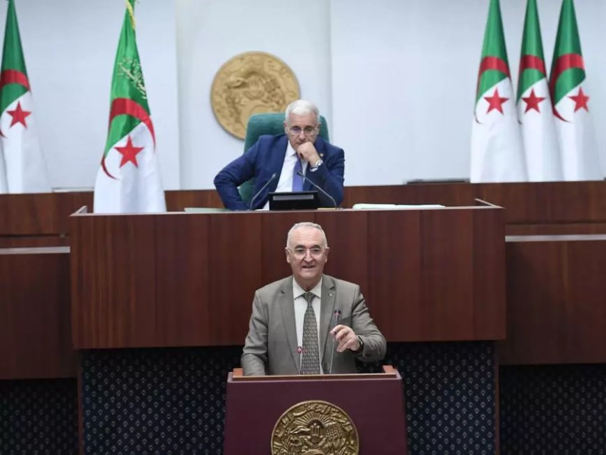 Faid : « le PLF 2025 consacre les engagements importants du Président Tebboune »