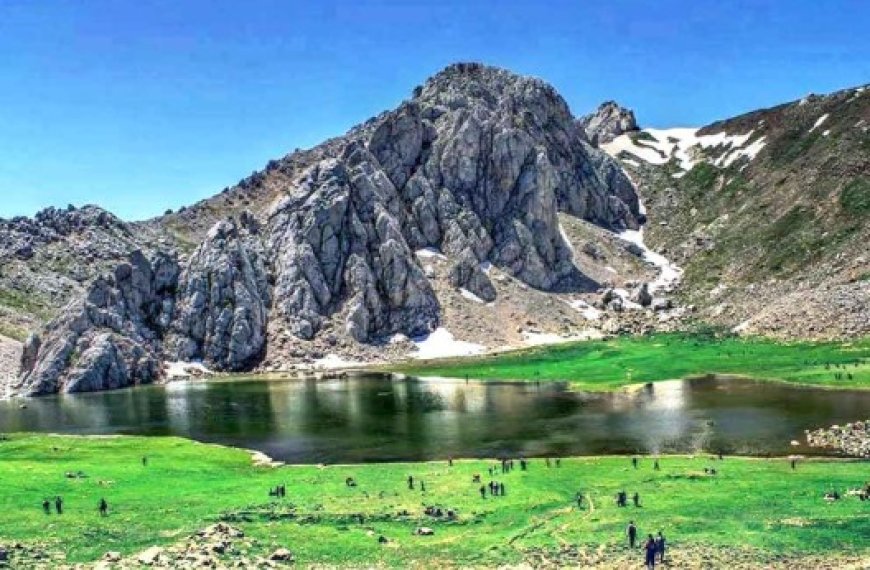 Parc national du Djurdjura : Un potager bio en projet