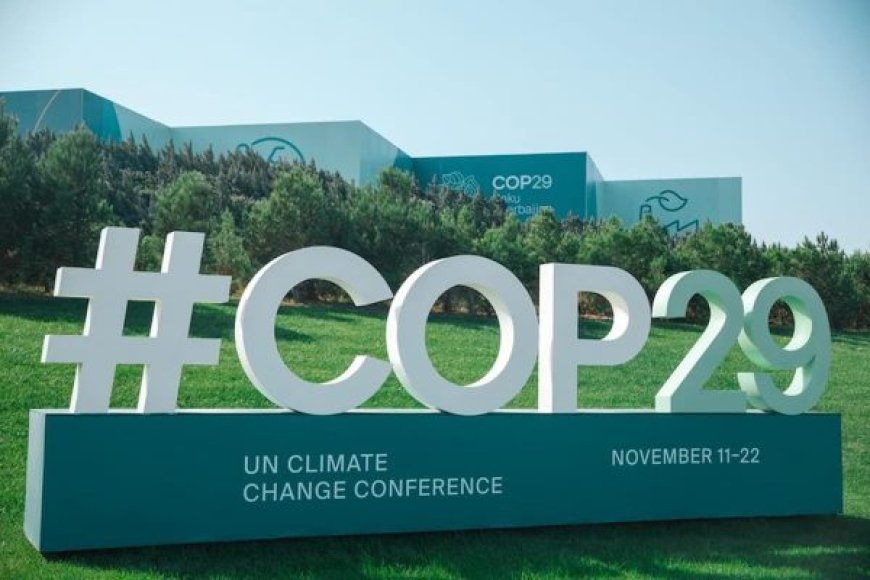 Session de la COP 29 sur le climat : Les engagements de l’Algérie