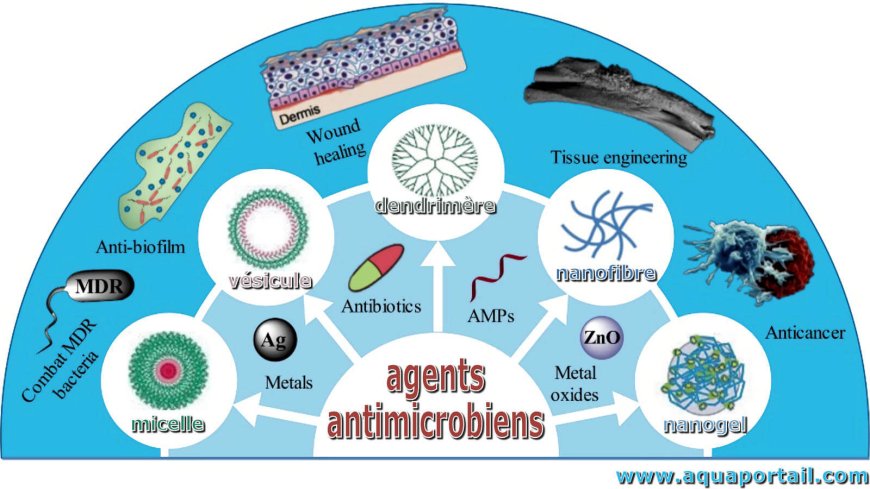 Du 18 au 24 novembre Semaine mondiale de sensibilisation à la résistance aux antimicrobiens