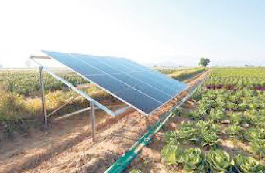 Ghardaïa : Première conférence sur les énergies renouvelables appliquées à l’agriculture