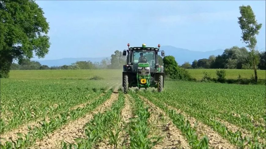 Agriculture Signature du nouveau cadre de partenariat technique entre l’Algérie et la FAO