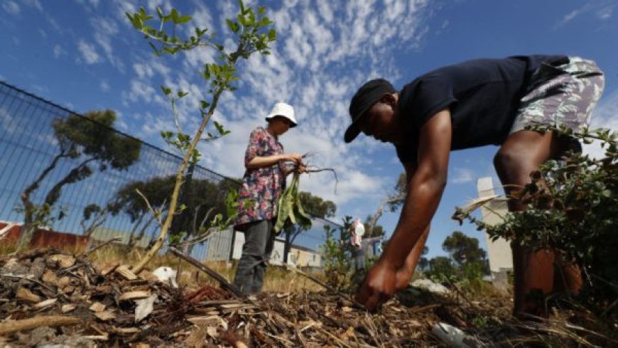 Espagne : Nouvelle terre d’opportunités pour les travailleurs africains