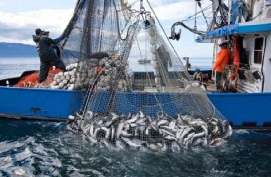 Selon une étude sur la protection sociale dans le domaine de la pêche  : «Pas moins de 93% des pêcheurs assurés»