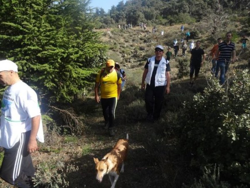 4e édition de la Course Trail à Chréa : Randonnée au cœur de l’Atlas blidéen