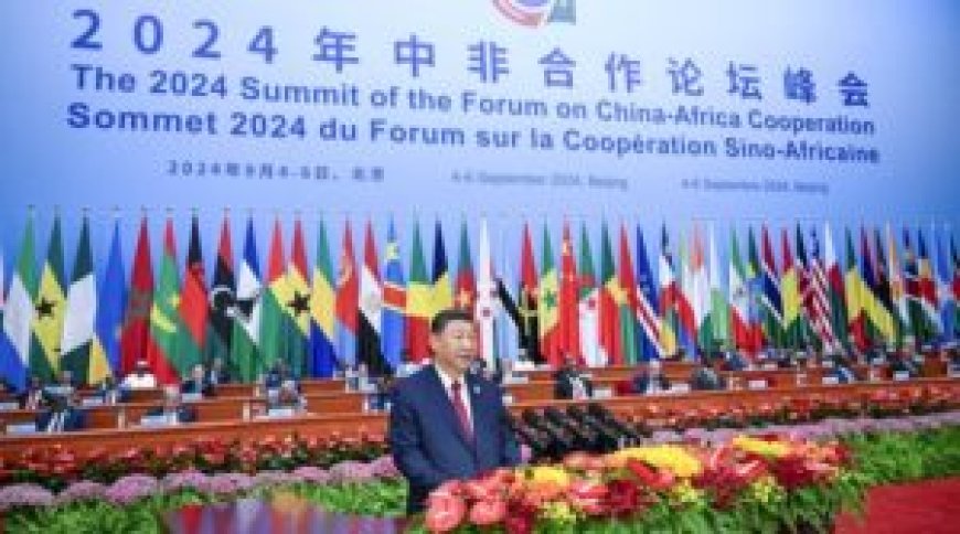 Chine-Afrique : une relation dynamique