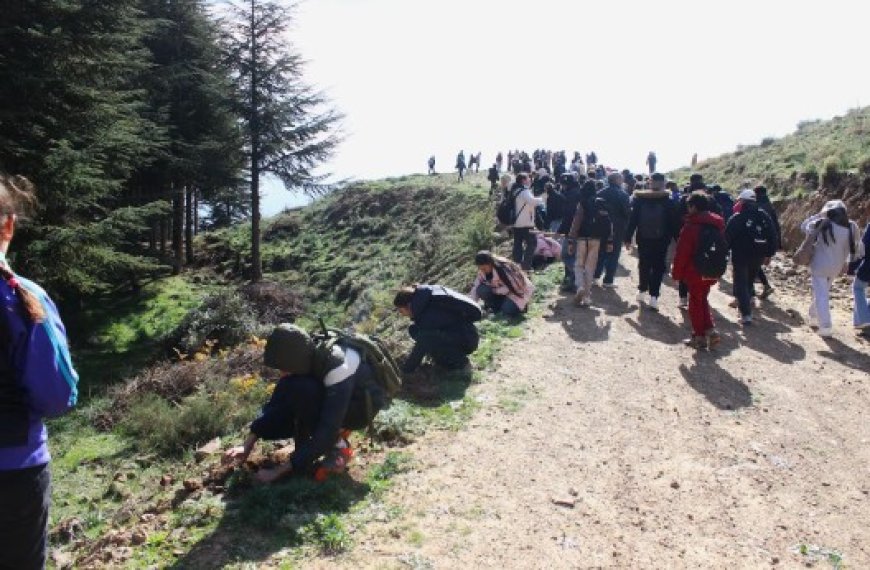 Parc national du Djurdjura : Des collégiens plantent 1000 cèdres