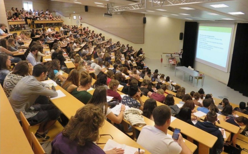 Alger : journée d’étude sur l’entrepreneuriat en milieu universitaire