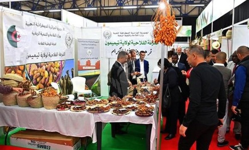 Salon international des dattes Une diversité de variétés au cœur du terroir algérien