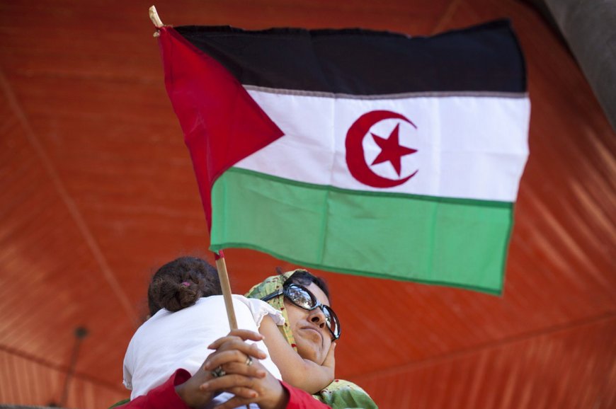 Sahara occidental  Des personnalités portugaises pour l’organisation d’un référendum d’autodétermination