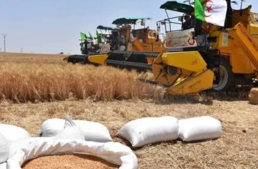 Nouvelles opérations pour promouvoir les activités agricoles à Ghardaïa