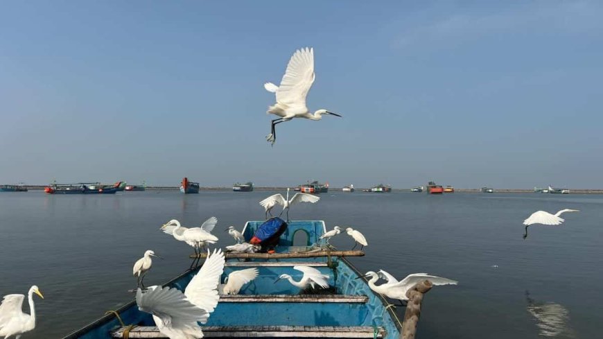 Algérie : une touriste explore un village de pêcheurs, un véritable joyau caché