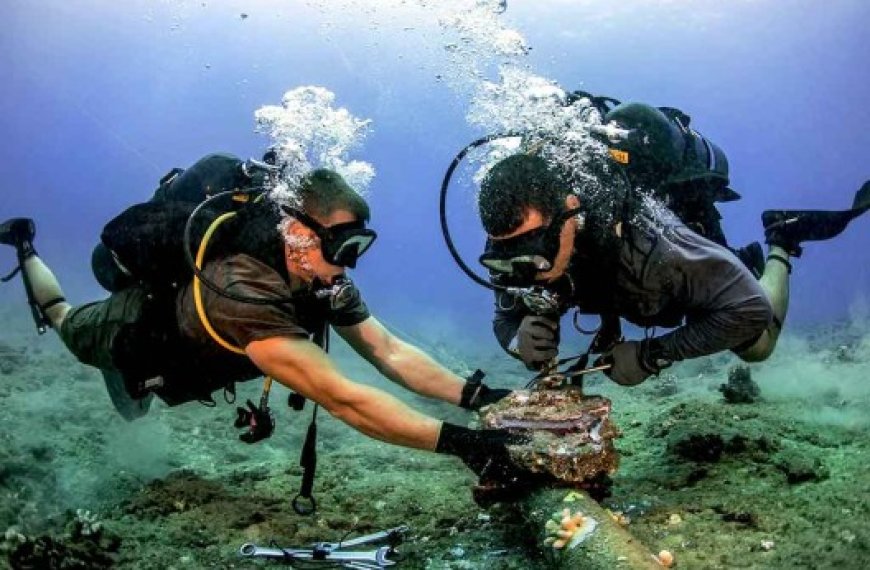 Résilience des câbles sous-marins : Création d’un organe international